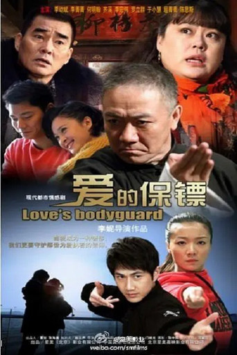 爱的保镖 poster