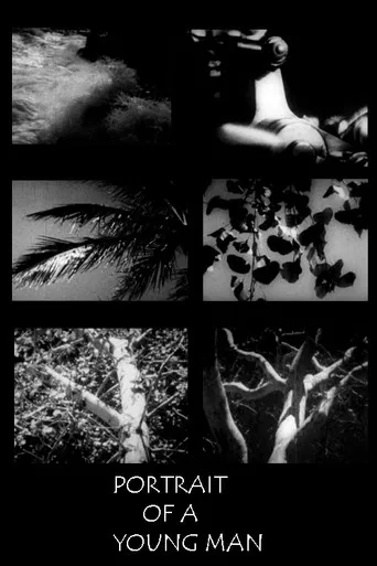 Portrait of a Young Man in Three Movements poster