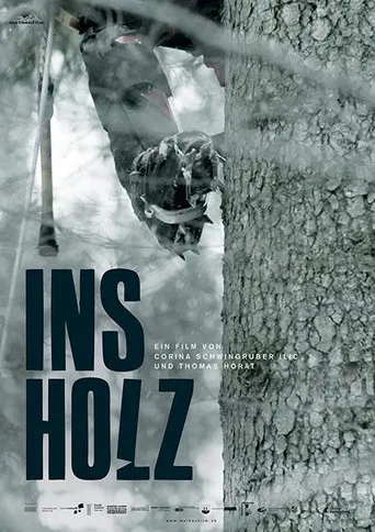 In the Woods poster