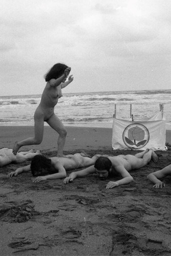 The White Hare of Inaba poster