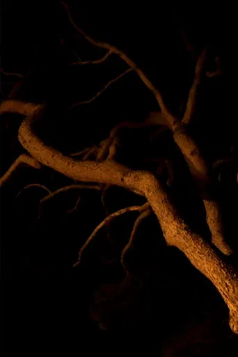 L'Ultimu Sognu – Last Dream in Petra Bianca poster