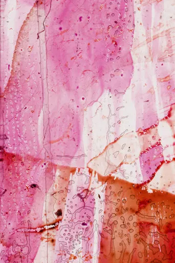 Xtended Release poster