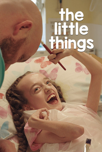 The Little Things poster