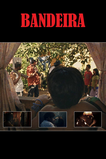 Four-Colored Banner poster