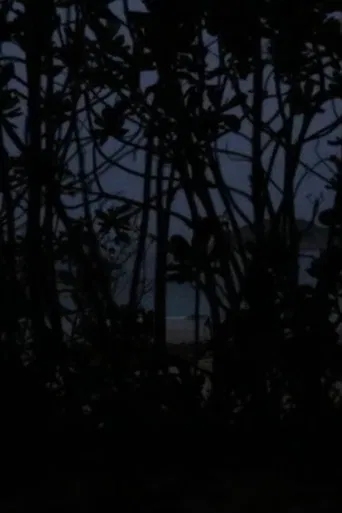 From the Void of Time poster