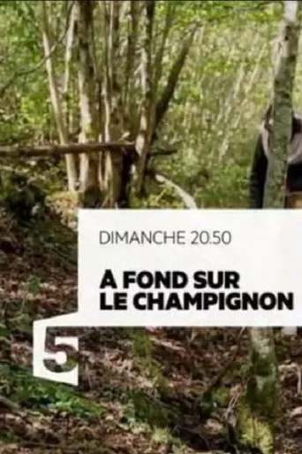 A fond sur le champignon poster