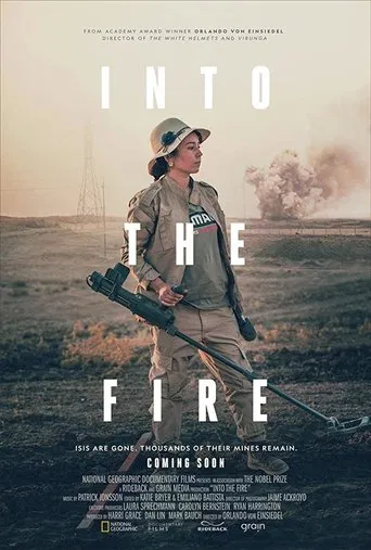 Into the Fire poster