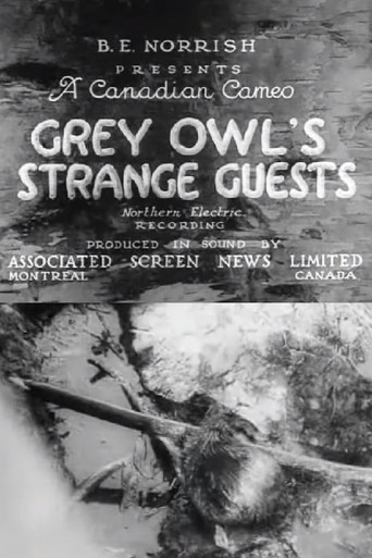 Grey Owl's Strange Guests poster