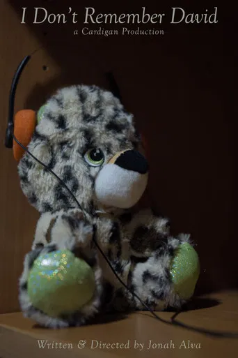 I Don’t Remember David poster