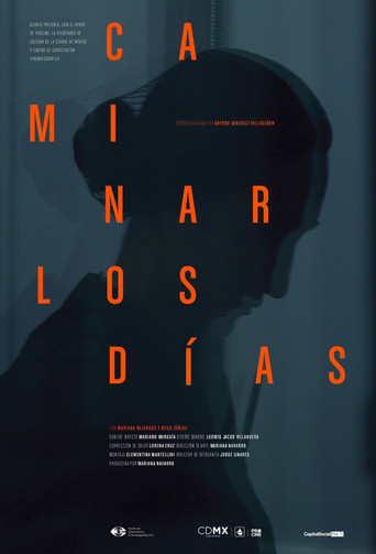 And The Days Never Stop Walking poster