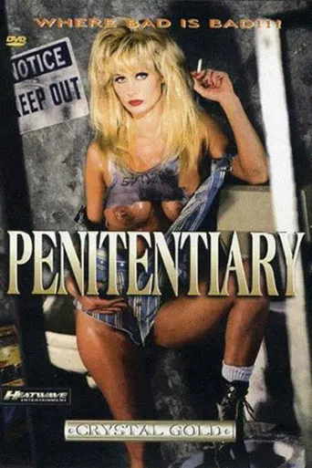 Penitentiary poster
