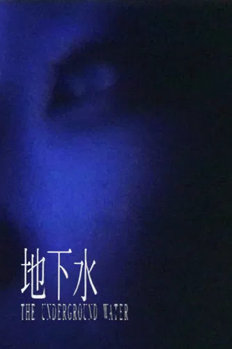 The Underground Water poster