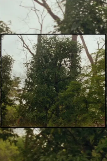 Available Light poster