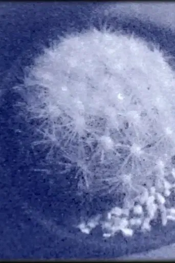 Kites at the Kamogawa (for Jonas Mekas) poster