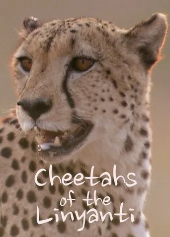 Cheetahs of the Linyanti poster