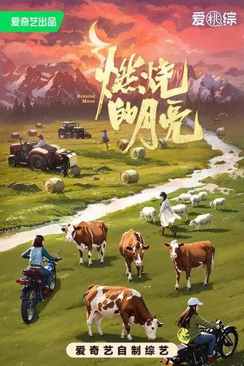 燃烧的月亮 poster