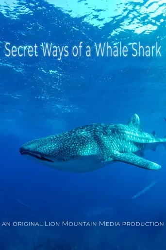 Le long voyage d'un requin-baleine poster