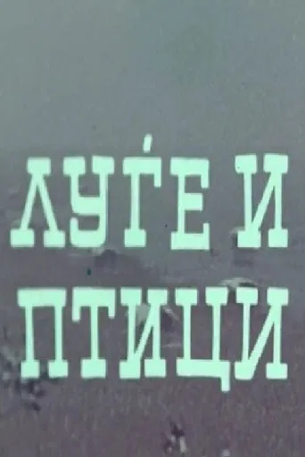 People and Birds poster