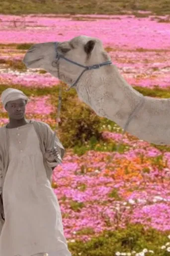 The Future Was Desert poster