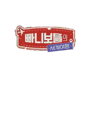 빠니보틀의 세계여행 poster