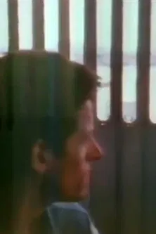 The Blue Nile: Flags and Fences poster