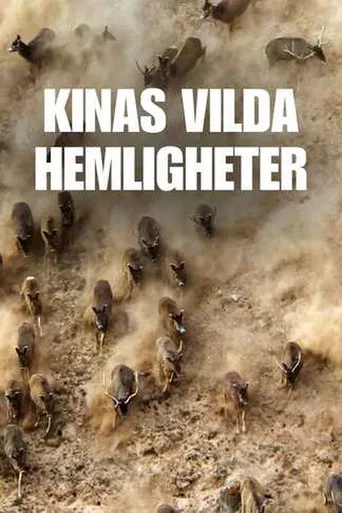 China's Wild Secrets poster