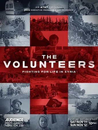 The Volunteers poster