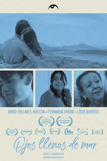 Beautiful Eyes poster