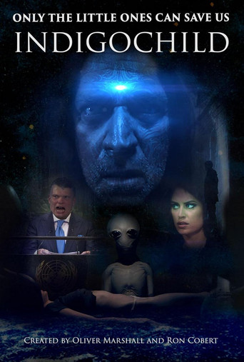 Indigochild poster