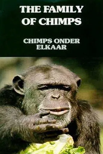 The Family of Chimps poster