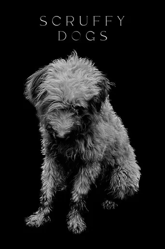 Scruffy Dogs poster