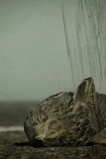 Ángel caído poster