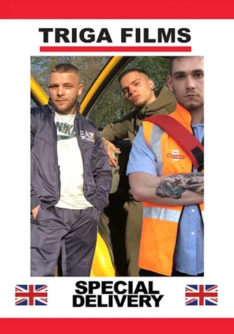 Special Delivery poster