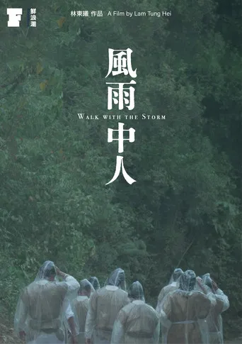 Walk with the Storm poster