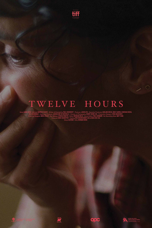 Twelve Hours poster
