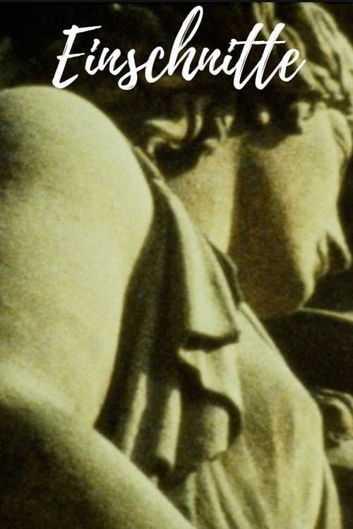 Einschnitte poster