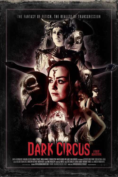 Dark Circus poster