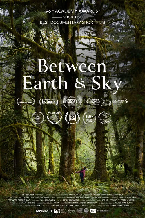 Between Earth & Sky poster