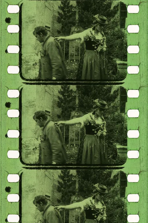 Der Sonnwendhof poster