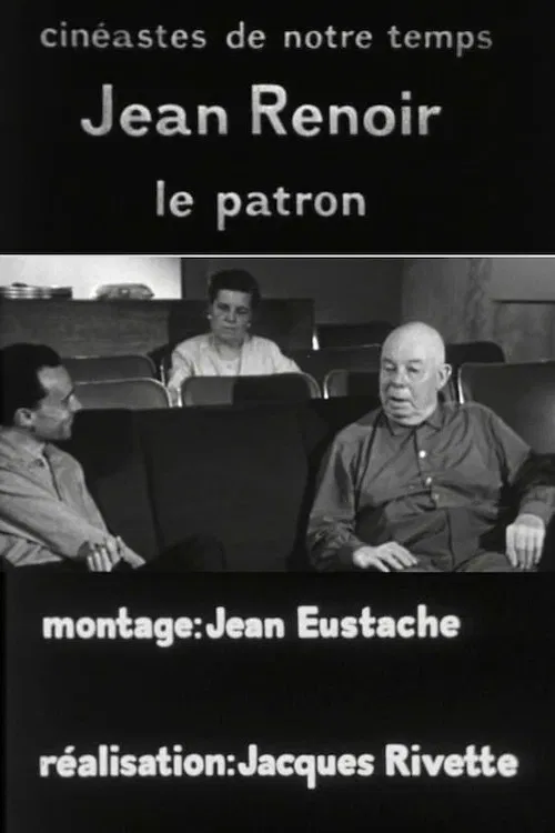 Jean Renoir, le patron, 3e partie: La règle et l'exception poster