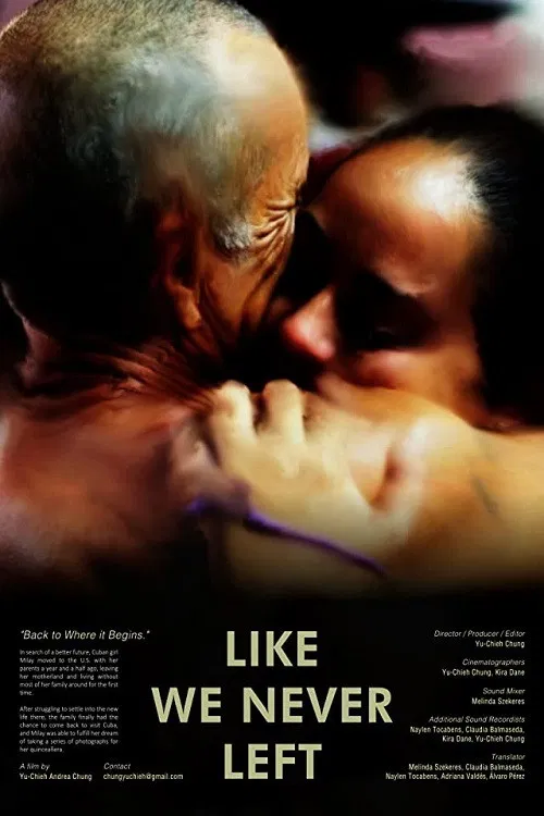 Like We Never Left poster