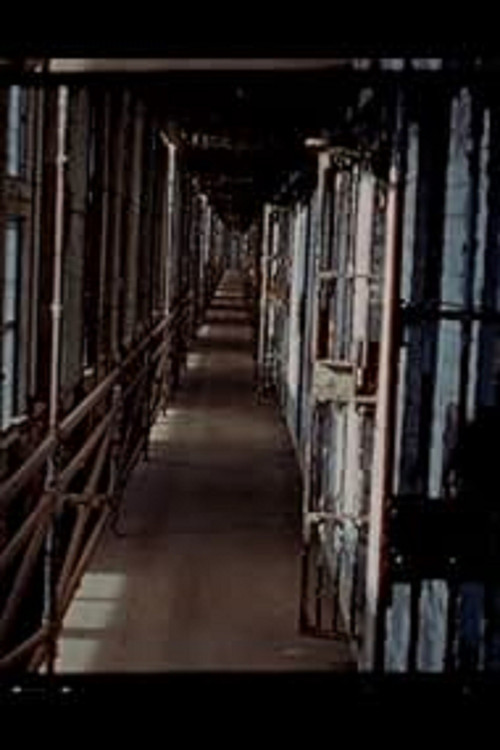 Air Force Two poster