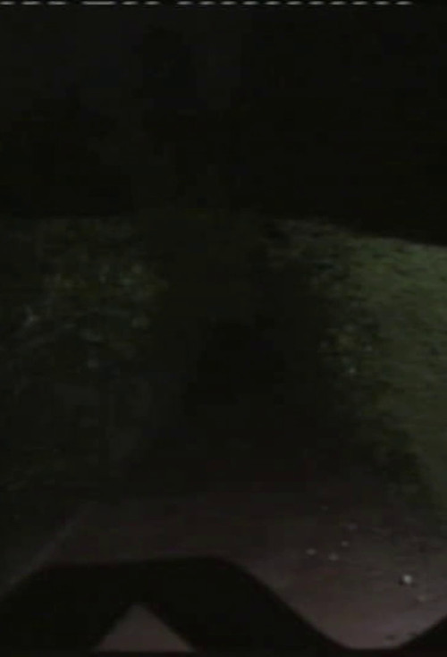 Vórtice Magnético ou Mecanismo de Dobra Fantasmática poster