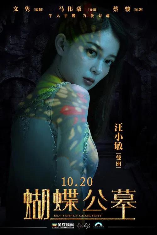 On Fallen Wings poster