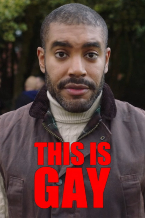 This Is Gay poster