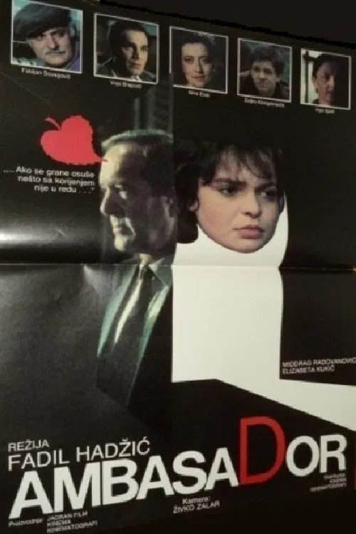 The Ambassador poster