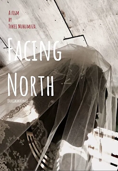 Facing North poster