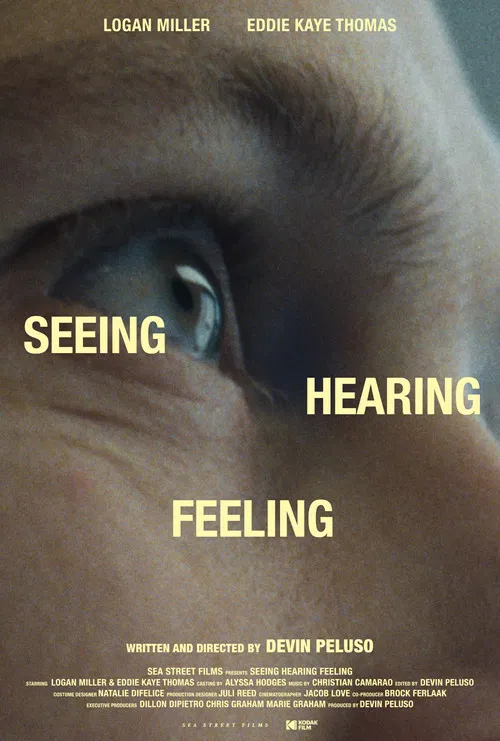 Seeing Hearing Feeling poster