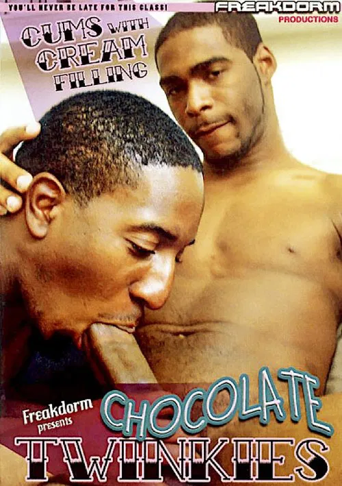 Chocolate Twinkies poster