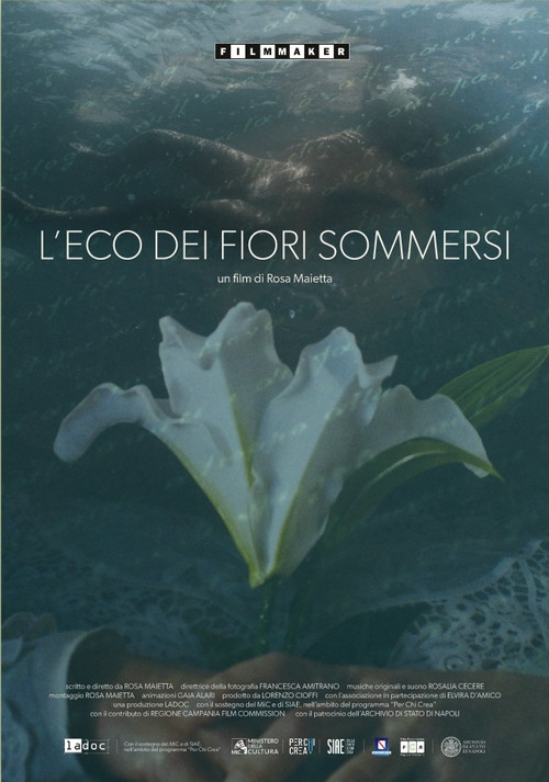 L'eco dei fiori sommersi poster